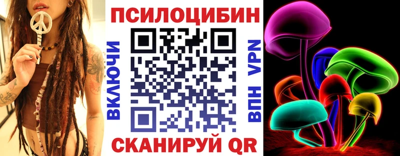блэк спрут ONION  Цивильск  Галлюциногенные грибы Psilocybine cubensis 